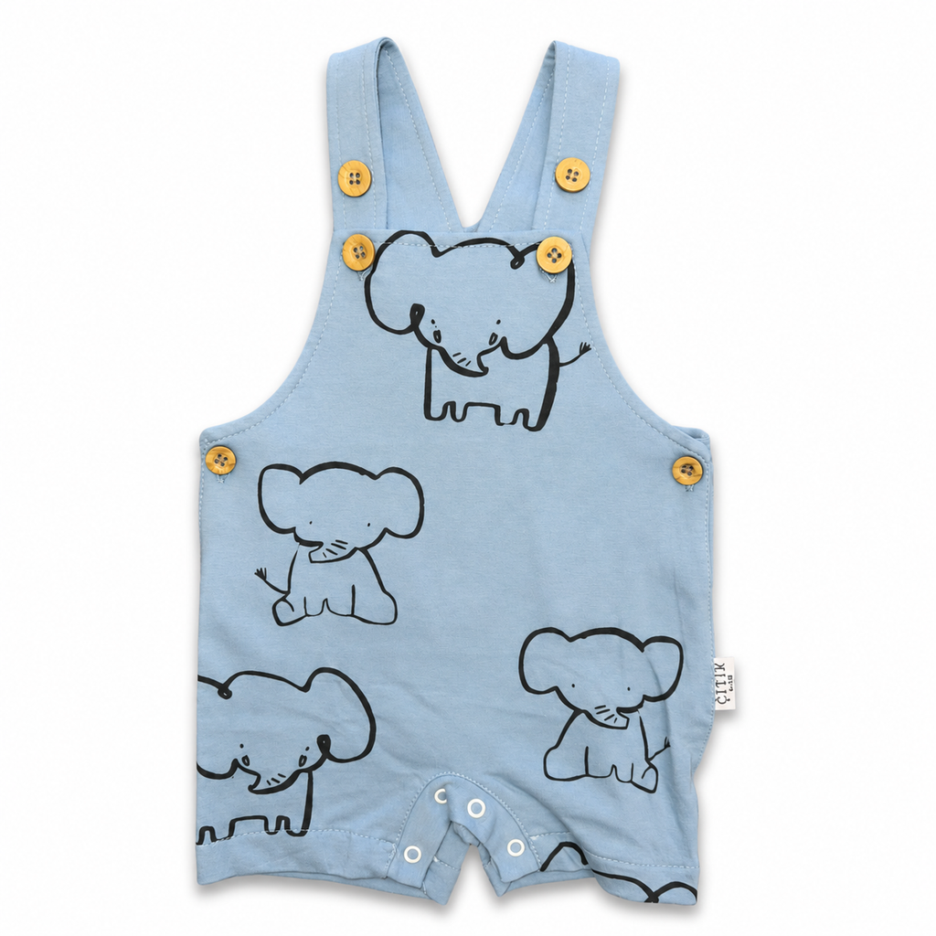 Boys Elephant Overall with T-Shirt Set - 2 Pieces