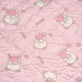 Winter Baby Blanket