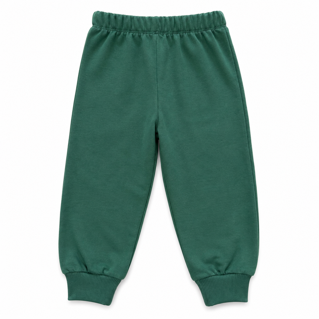 Boys Lion Print 3-Piece Hoodie Set